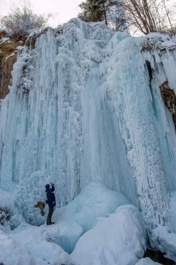 Villa Deea Cascada Vidra  Esterno foto