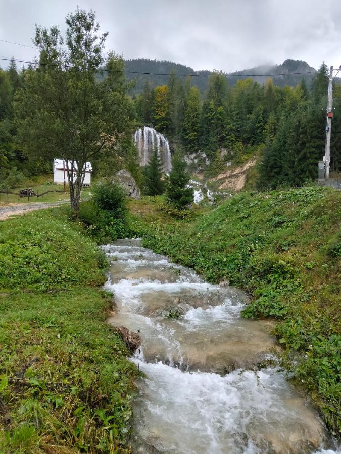Villa Deea Cascada Vidra  Esterno foto